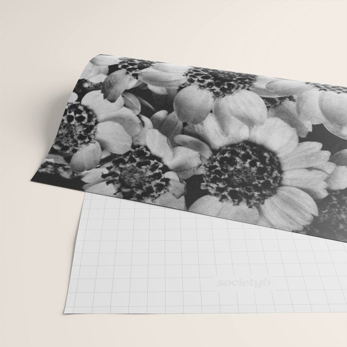 Yarrow flower blossoms vintage black and white photograph by Karl Blossfeldt   Wrapping Paper Gallery Image 2