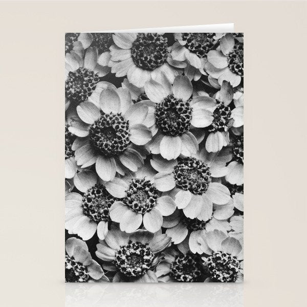 Yarrow flower blossoms vintage black and white photograph by Karl Blossfeldt   Stationery Card Gallery Image 1