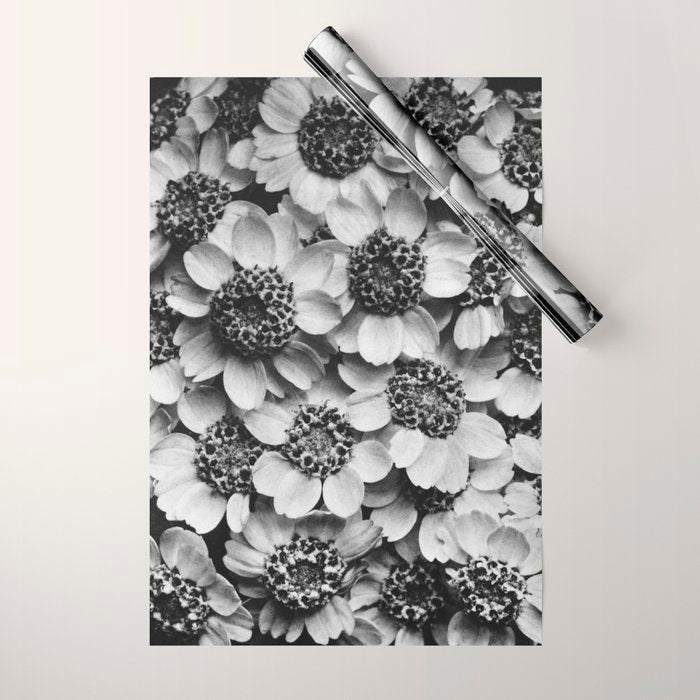 Yarrow flower blossoms vintage black and white photograph by Karl Blossfeldt   Wrapping Paper Gallery Image 1