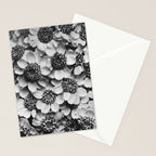 Yarrow flower blossoms vintage black and white photograph by Karl Blossfeldt   Stationery Card Gallery Image 2