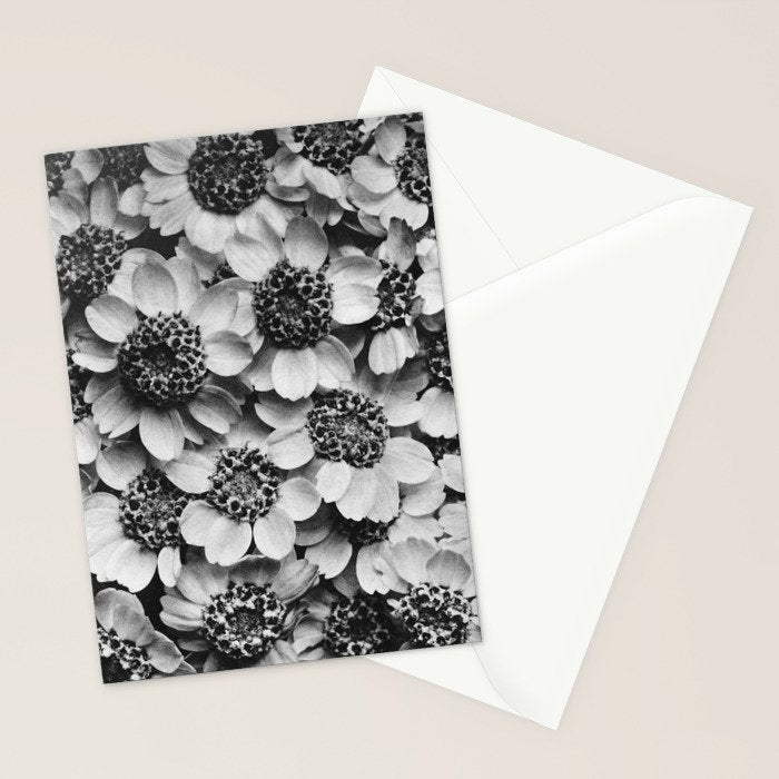 Yarrow flower blossoms vintage black and white photograph by Karl Blossfeldt   Stationery Card Gallery Image 2