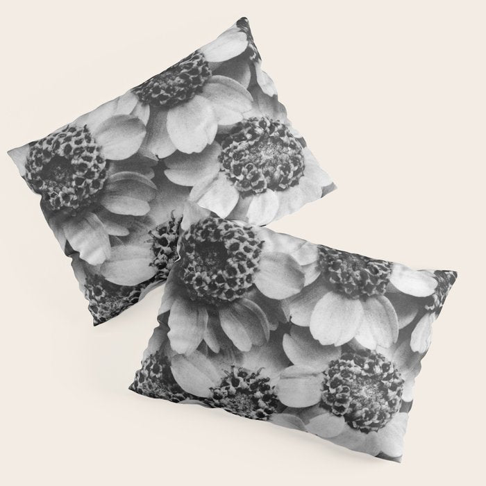 Yarrow flower blossoms vintage black and white photograph by Karl Blossfeldt   Pillow Sham Gallery Image 3
