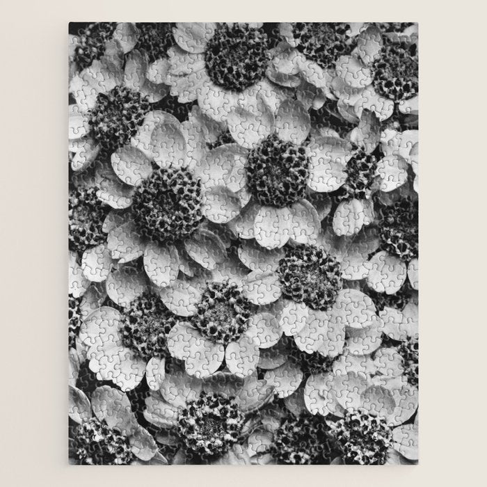 Yarrow flower blossoms vintage black and white photograph by Karl Blossfeldt   Jigsaw Puzzle Gallery Image 1