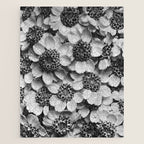 Yarrow flower blossoms vintage black and white photograph by Karl Blossfeldt   Jigsaw Puzzle Gallery Image 1
