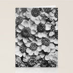 Yarrow flower blossoms vintage black and white photograph by Karl Blossfeldt   Stationery Card Gallery Image 2
