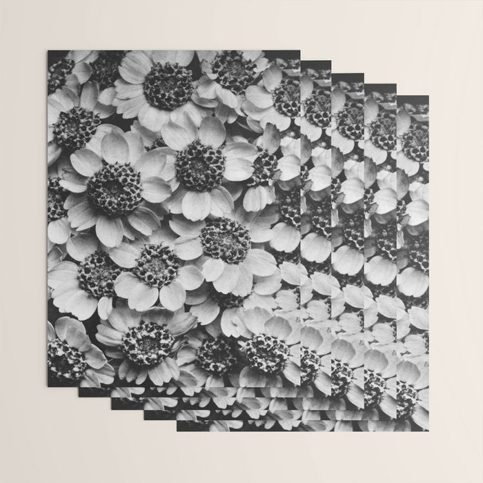 Yarrow flower blossoms vintage black and white photograph by Karl Blossfeldt   Wrapping Paper Gallery Image 3