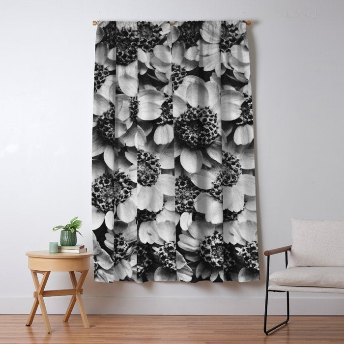 Yarrow flower blossoms vintage black and white photograph by Karl Blossfeldt   Window Curtain Gallery Image 5
