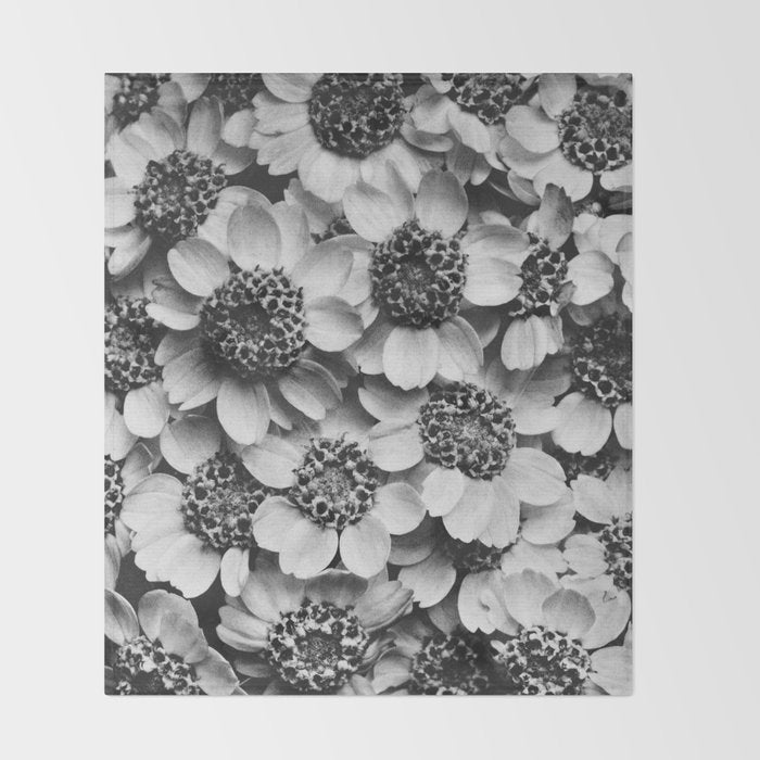 Yarrow flower blossoms vintage black and white photograph by Karl Blossfeldt   Throw Blanket Gallery Image 2