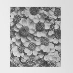Yarrow flower blossoms vintage black and white photograph by Karl Blossfeldt   Throw Blanket Gallery Image 2