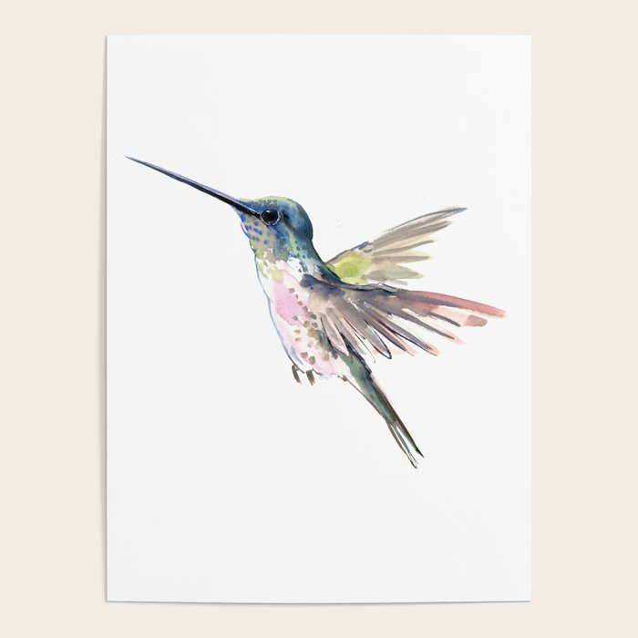 Flying Little Hummingbird Poster Gallery Image 4
