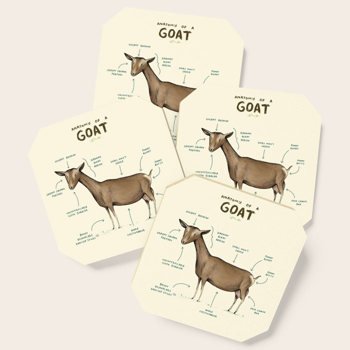 Anatomy of a Goat Coaster Gallery Image 1
