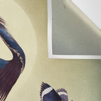 World of Birds Wall Tapestry Gallery Image 3