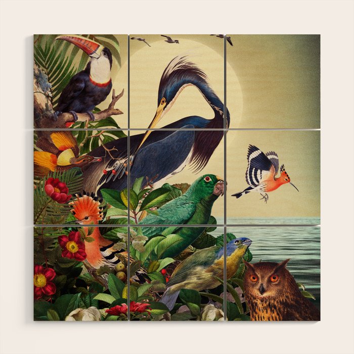 World of Birds Wood Wall Art Gallery Image 1