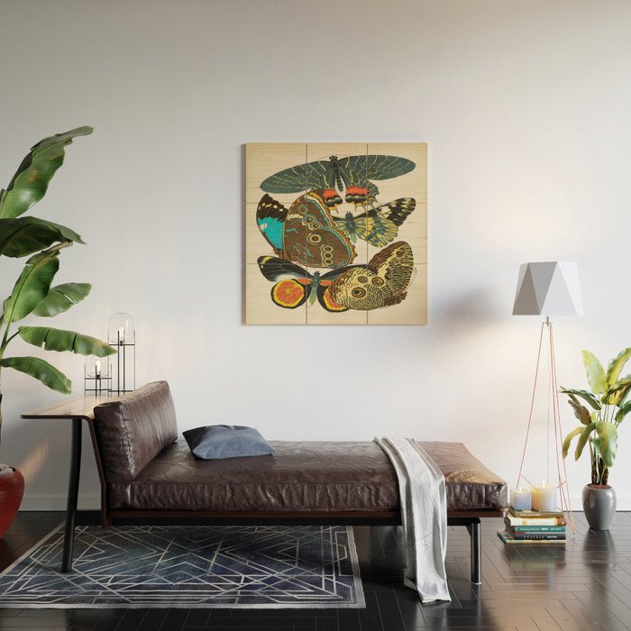 Vintage Butterfly Illustration EA Seguy Papillon Wood Wall Art Gallery Image 2
