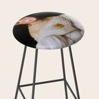 Louise Bubblegum Renaissance Portrait  Eclectic Altered Famous Wall Art Stool Gallery Image 2