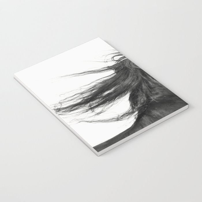 Wild Horse, Black and White Photography Notebook Gallery Image 3