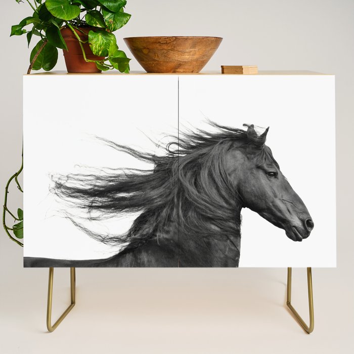 Wild Horse, Black and White Photography Credenza Gallery Image 1