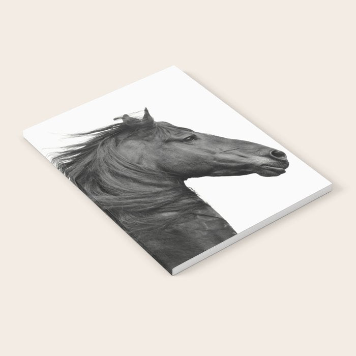 Wild Horse, Black and White Photography Notebook Gallery Image 2