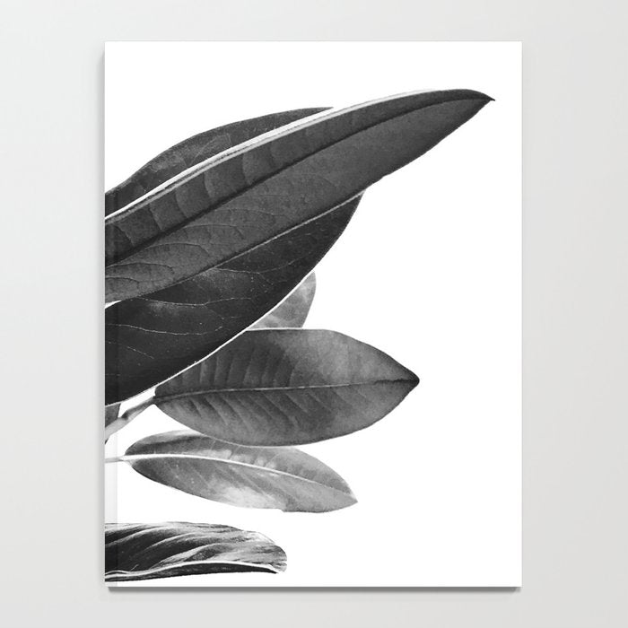 Grandiflora II - bw Notebook Gallery Image 4