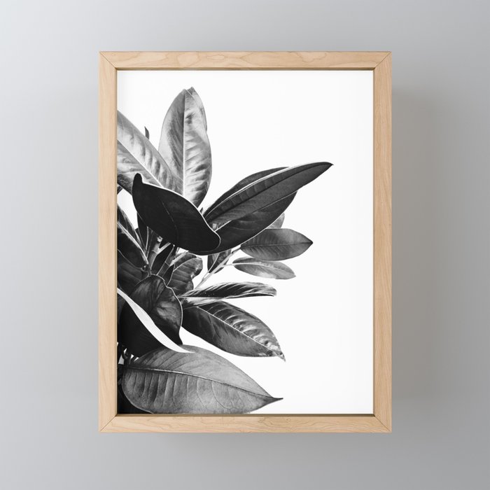 Grandiflora II - bw Mini Art Print Gallery Image 1
