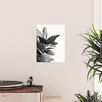 Grandiflora II - bw Poster Gallery Image 2
