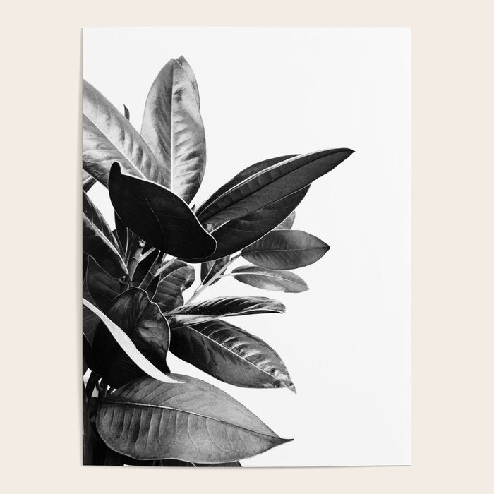 Grandiflora II - bw Poster Gallery Image 1