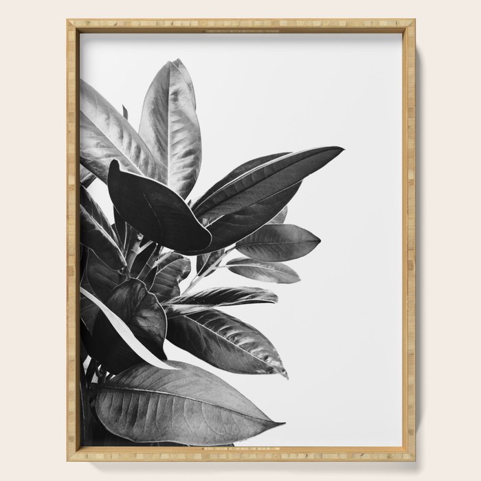 Grandiflora II - bw Serving Tray Gallery Image 1