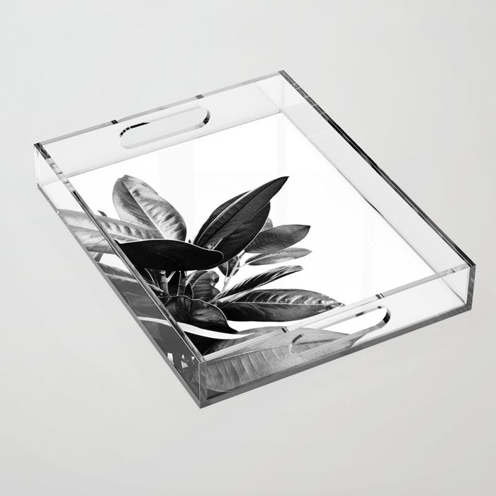 Grandiflora II - bw Acrylic Tray Gallery Image 1