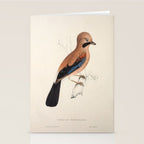 Plain-crowned jay by Elizabeth Gould from "A Century of Birds from the Himalaya Mountains," 1831 Stationery Card Gallery Image 2