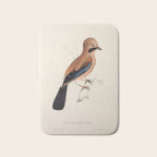 Plain-crowned jay by Elizabeth Gould from "A Century of Birds from the Himalaya Mountains," 1831 Bath Mat Gallery Image 1