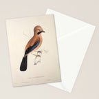 Plain-crowned jay by Elizabeth Gould from "A Century of Birds from the Himalaya Mountains," 1831 Stationery Card Gallery Image 2