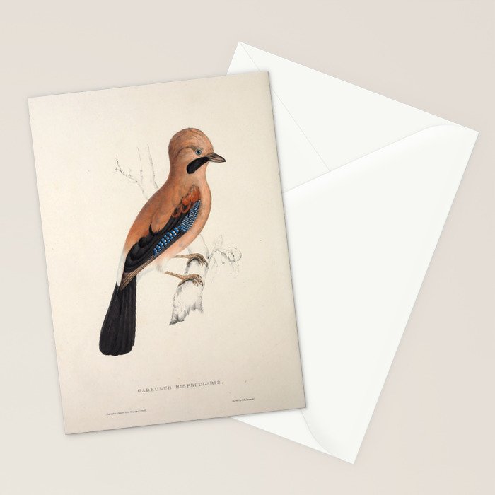 Plain-crowned jay by Elizabeth Gould from "A Century of Birds from the Himalaya Mountains," 1831 Stationery Card Gallery Image 2