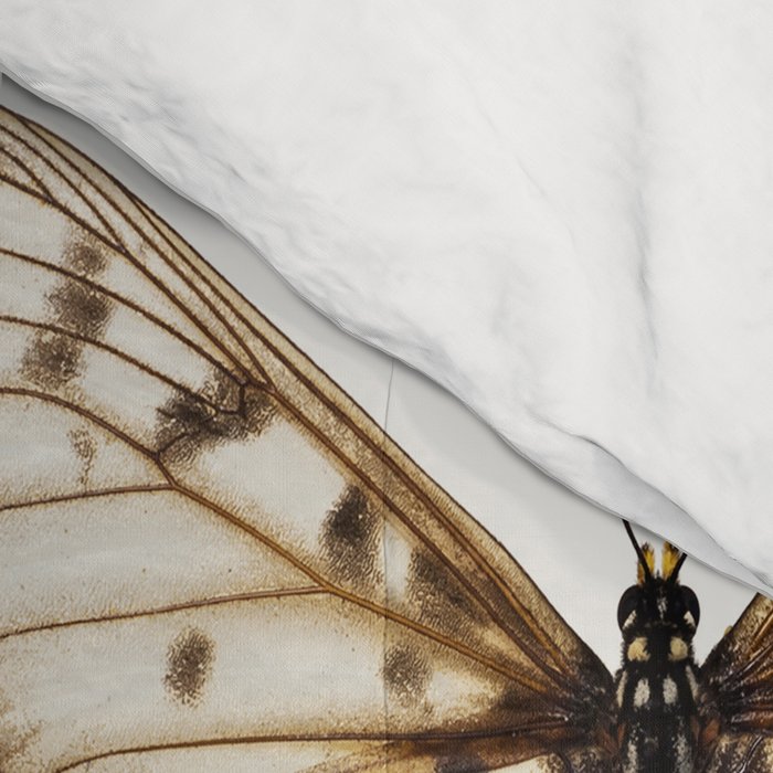 Butterflies in Neutral Colors Comforter Gallery Image 4