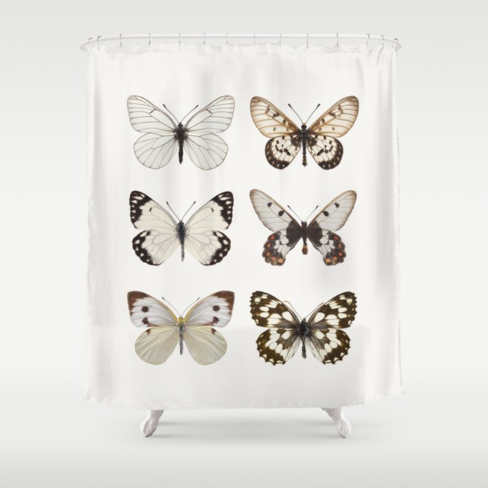 Butterflies in Neutral Colors Shower Curtain Gallery Image 1