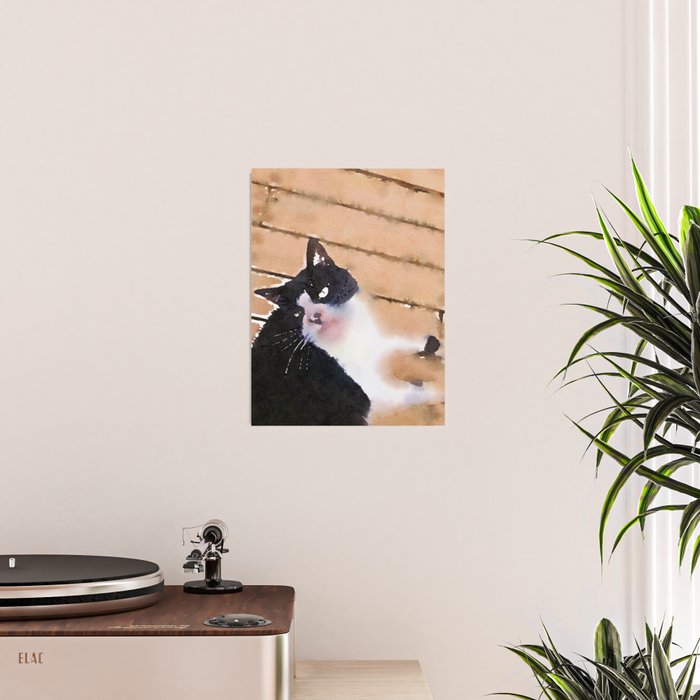 the life of a tuxedo cat Poster Gallery Image 2
