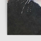 the life of a tuxedo cat Poster Gallery Image 3