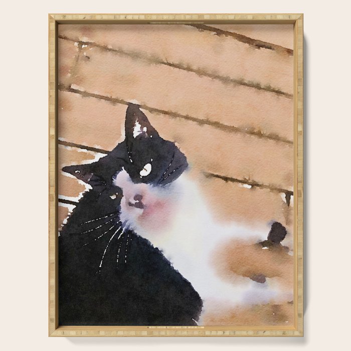 the life of a tuxedo cat Serving Tray Gallery Image 1
