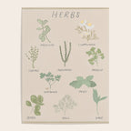 Herbs Chart  Poster Gallery Image 4