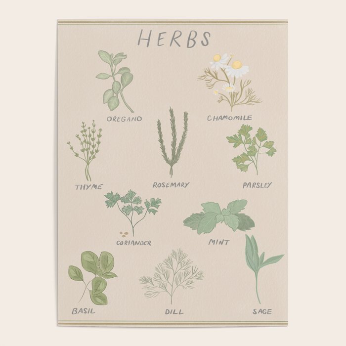Herbs Chart  Poster Gallery Image 1