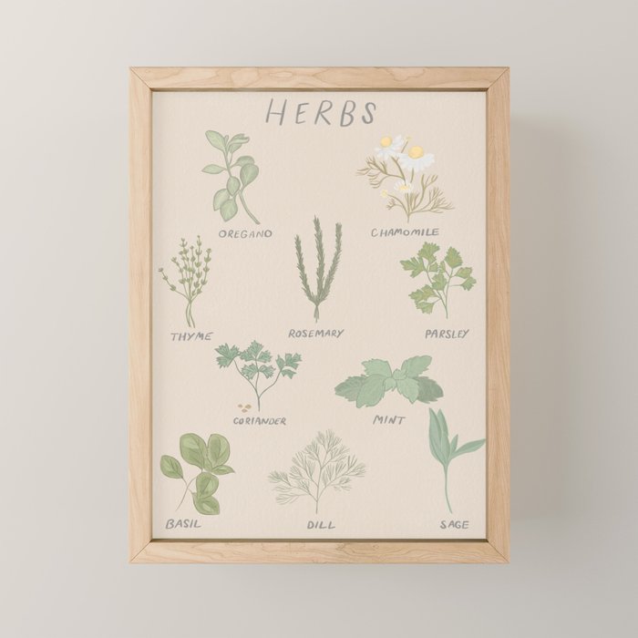 Herbs Chart  Mini Art Print Gallery Image 1