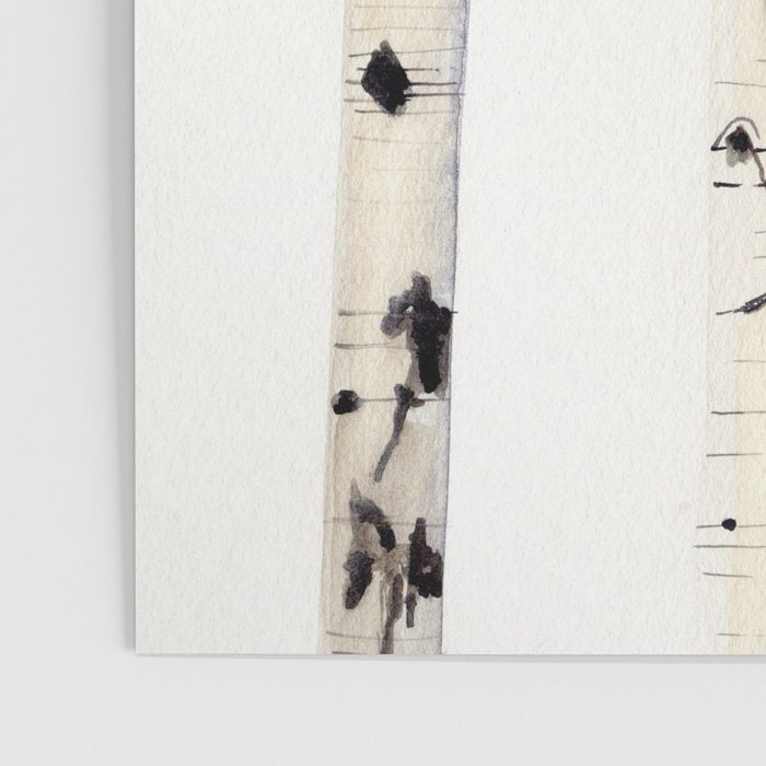 Birch Trees and Cardinal Poster Gallery Image 3
