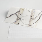 Birch Trees and Cardinal Wrapping Paper Gallery Image 2