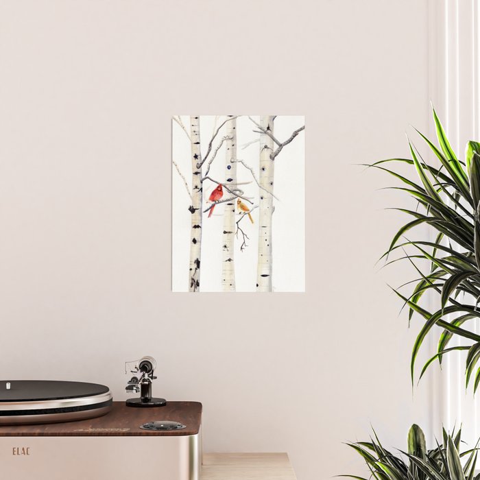 Birch Trees and Cardinal Poster Gallery Image 2