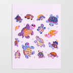 Diamondback terrapin Poster Gallery Image 4
