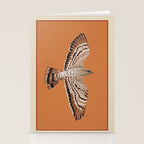 Hawk in Still Flight Stationery Card Gallery Image 2