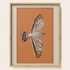 Hawk in Still Flight Serving Tray Gallery Image 1