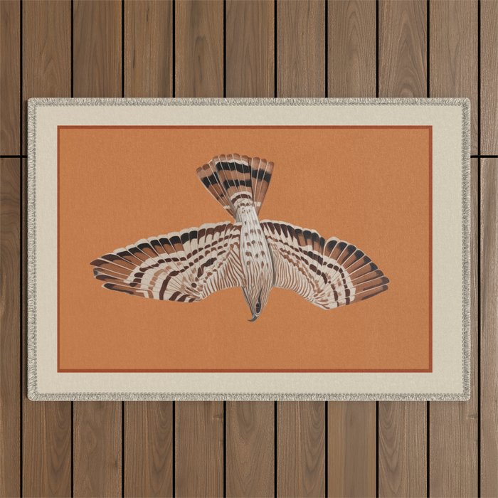Hawk in Still Flight Outdoor Rug Gallery Image 1