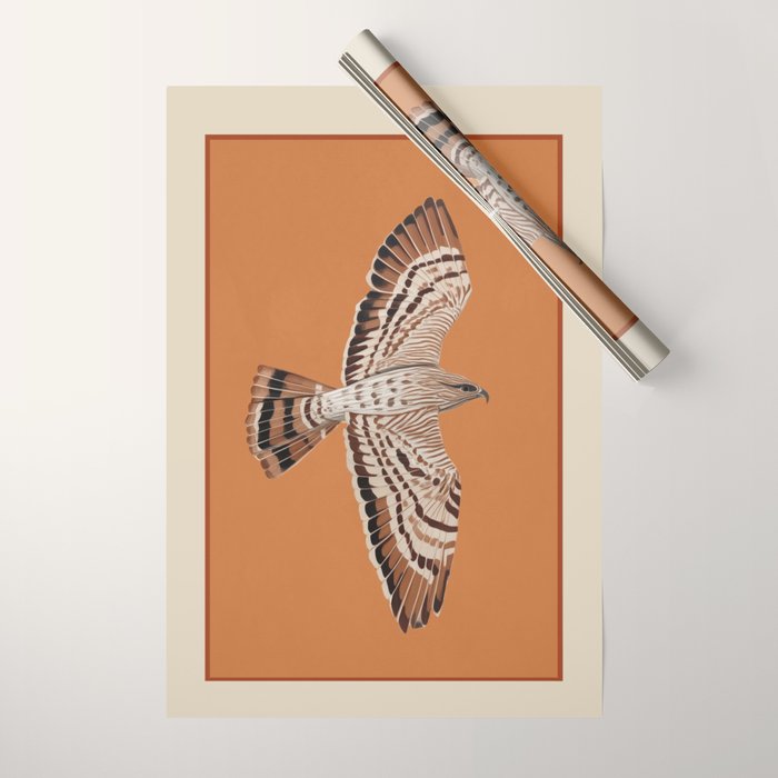 Hawk in Still Flight Wrapping Paper Gallery Image 1