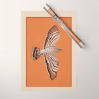 Hawk in Still Flight Wrapping Paper Gallery Image 1