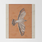 Hawk in Still Flight Throw Blanket Gallery Image 2
